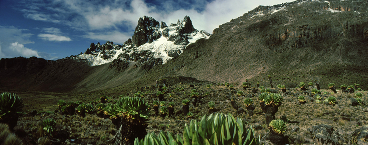 Mt Kenya